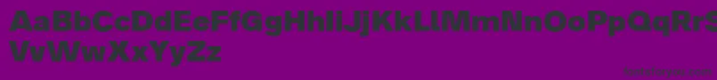 Analogue85black Font – Black Fonts on Purple Background