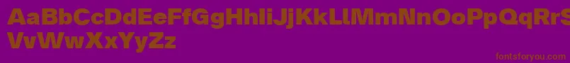 Analogue85black Font – Brown Fonts on Purple Background