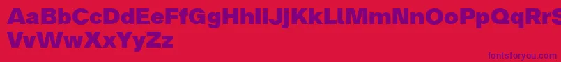 Analogue85black-Schriftart – Violette Schriften auf rotem Hintergrund