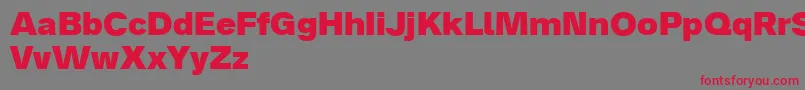 Analogue85black Font – Red Fonts on Gray Background