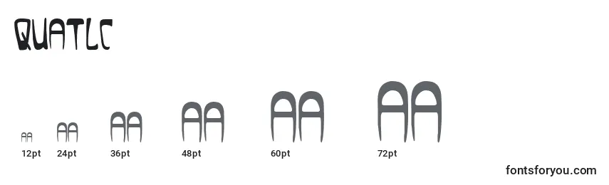 Quatlc Font Sizes
