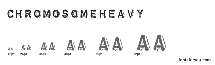 Размеры шрифта Chromosomeheavy