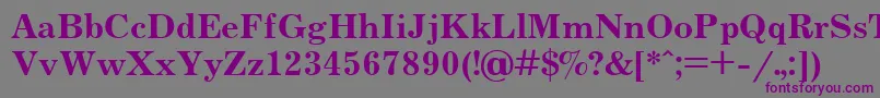 JournalBoldCyrillic Font – Purple Fonts on Gray Background