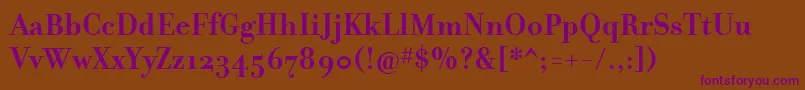 FilosofiaCyrBold Font – Purple Fonts on Brown Background