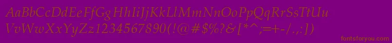 PalatinoNormalItalic Font – Brown Fonts on Purple Background