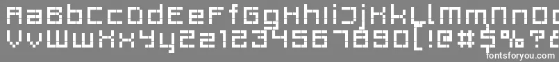 Rittswoodprofile6Regular Font – White Fonts on Gray Background