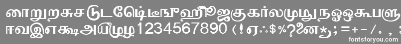 フォントValaiSri – 灰色の背景に白い文字