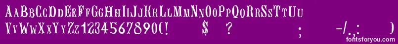 BujardetfreresRegular Font – White Fonts on Purple Background