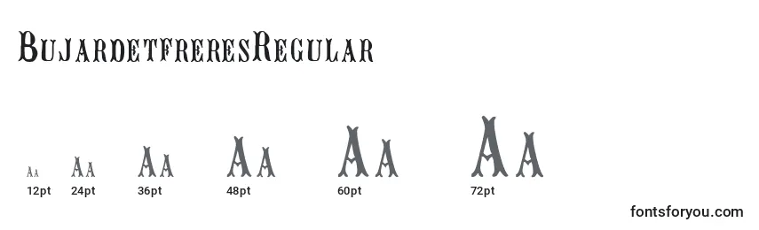 Размеры шрифта BujardetfreresRegular