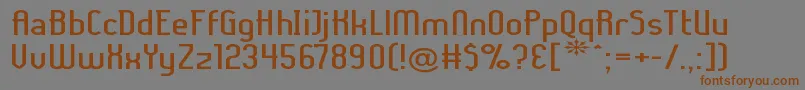 Ladyiex Font – Brown Fonts on Gray Background
