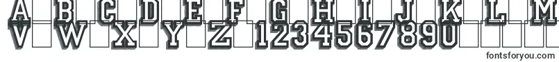 CampusRelief Font – Big Fonts