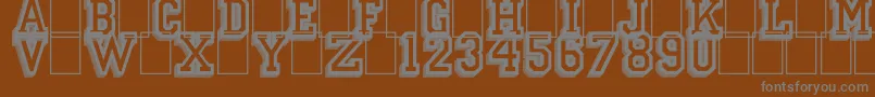CampusRelief Font – Gray Fonts on Brown Background