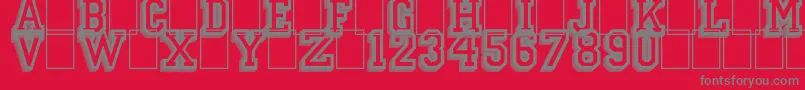 CampusRelief Font – Gray Fonts on Red Background