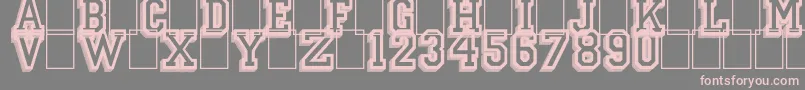 CampusRelief Font – Pink Fonts on Gray Background