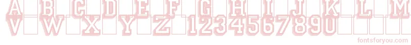 CampusRelief Font – Pink Fonts