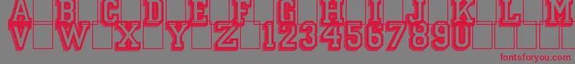 CampusRelief Font – Red Fonts on Gray Background