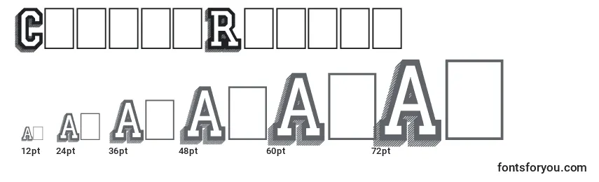 CampusRelief Font Sizes