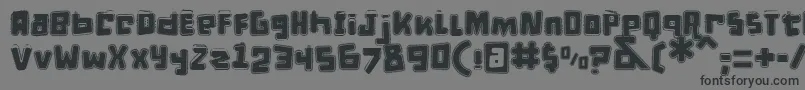 DPuntillasETiptoesSquid-Schriftart – Schwarze Schriften auf grauem Hintergrund
