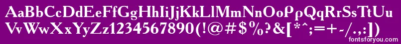 フォントAcademytttBold – 紫の背景に白い文字