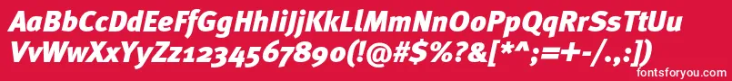 MetablackcItalic Font – White Fonts on Red Background