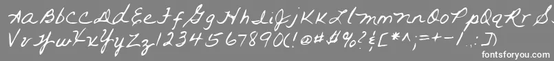Lehn093 Font – White Fonts on Gray Background