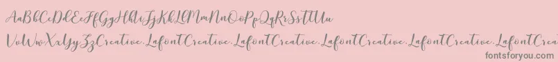 MottonaDemo Font – Gray Fonts on Pink Background