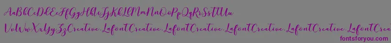 MottonaDemo Font – Purple Fonts on Gray Background