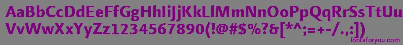 Шрифт LinotypefinneganExtrabold – фиолетовые шрифты на сером фоне