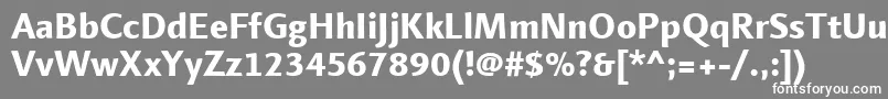 フォントLinotypefinneganExtrabold – 灰色の背景に白い文字