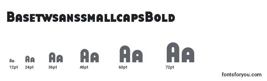 Размеры шрифта BasetwsanssmallcapsBold
