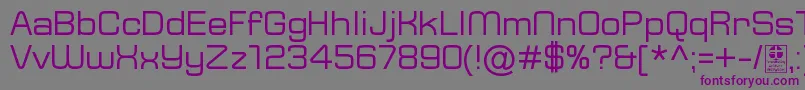Шрифт TypoSquareRegularDemo – фиолетовые шрифты на сером фоне