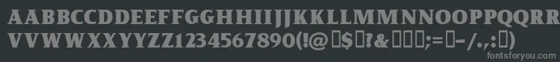 フォントKingofromeFreeForPersonalUseOnly – 黒い背景に灰色の文字