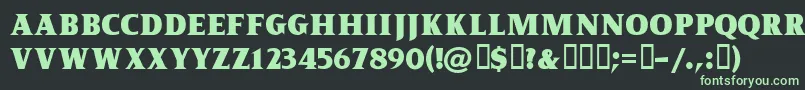 フォントKingofromeFreeForPersonalUseOnly – 黒い背景に緑の文字