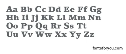 Review of the LinoletterstdBlack Font