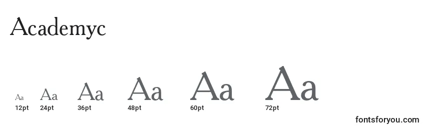Размеры шрифта Academyc