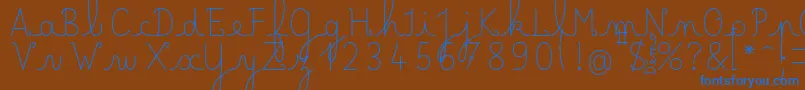 LecteurheureuxRegular Font – Blue Fonts on Brown Background