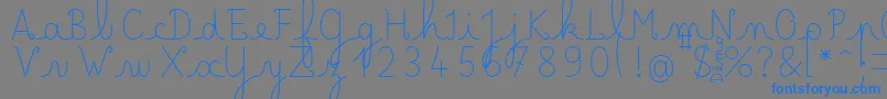 LecteurheureuxRegular Font – Blue Fonts on Gray Background