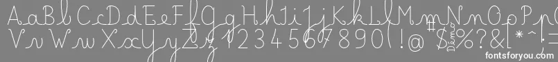 LecteurheureuxRegular Font – White Fonts on Gray Background