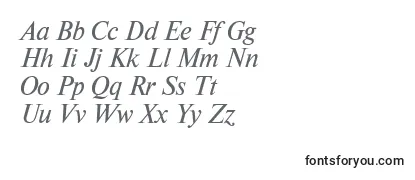 NewtonttItalic Font