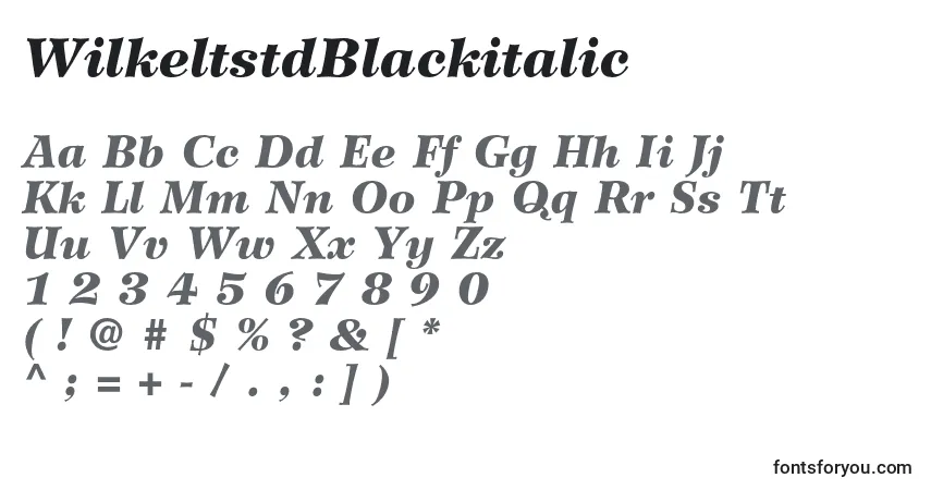 A fonte WilkeltstdBlackitalic – alfabeto, números, caracteres especiais