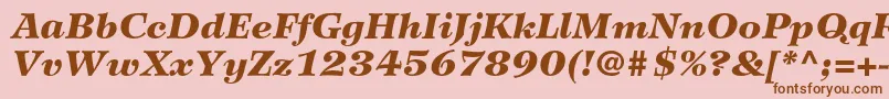 WilkeltstdBlackitalic Font – Brown Fonts on Pink Background