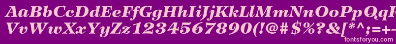 WilkeltstdBlackitalic Font – Pink Fonts on Purple Background