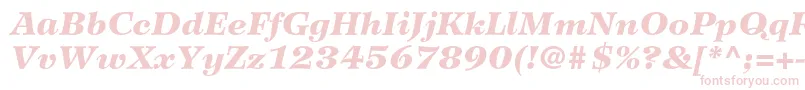 WilkeltstdBlackitalic-fontti – vaaleanpunaiset fontit