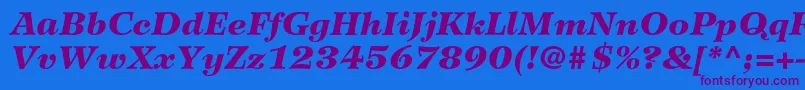 WilkeltstdBlackitalic Font – Purple Fonts on Blue Background