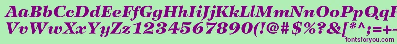 WilkeltstdBlackitalic Font – Purple Fonts on Green Background