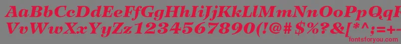 WilkeltstdBlackitalic Font – Red Fonts on Gray Background