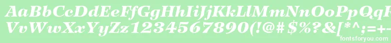 Fonte WilkeltstdBlackitalic – fontes brancas em um fundo verde