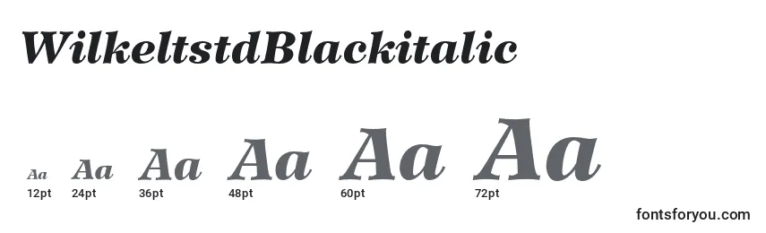 Размеры шрифта WilkeltstdBlackitalic