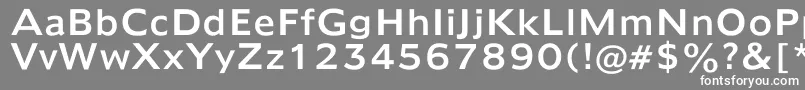 フォントMayfarlong – 灰色の背景に白い文字