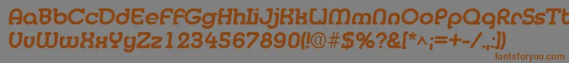 フォントMedflyExtrabold – 茶色の文字が灰色の背景にあります。